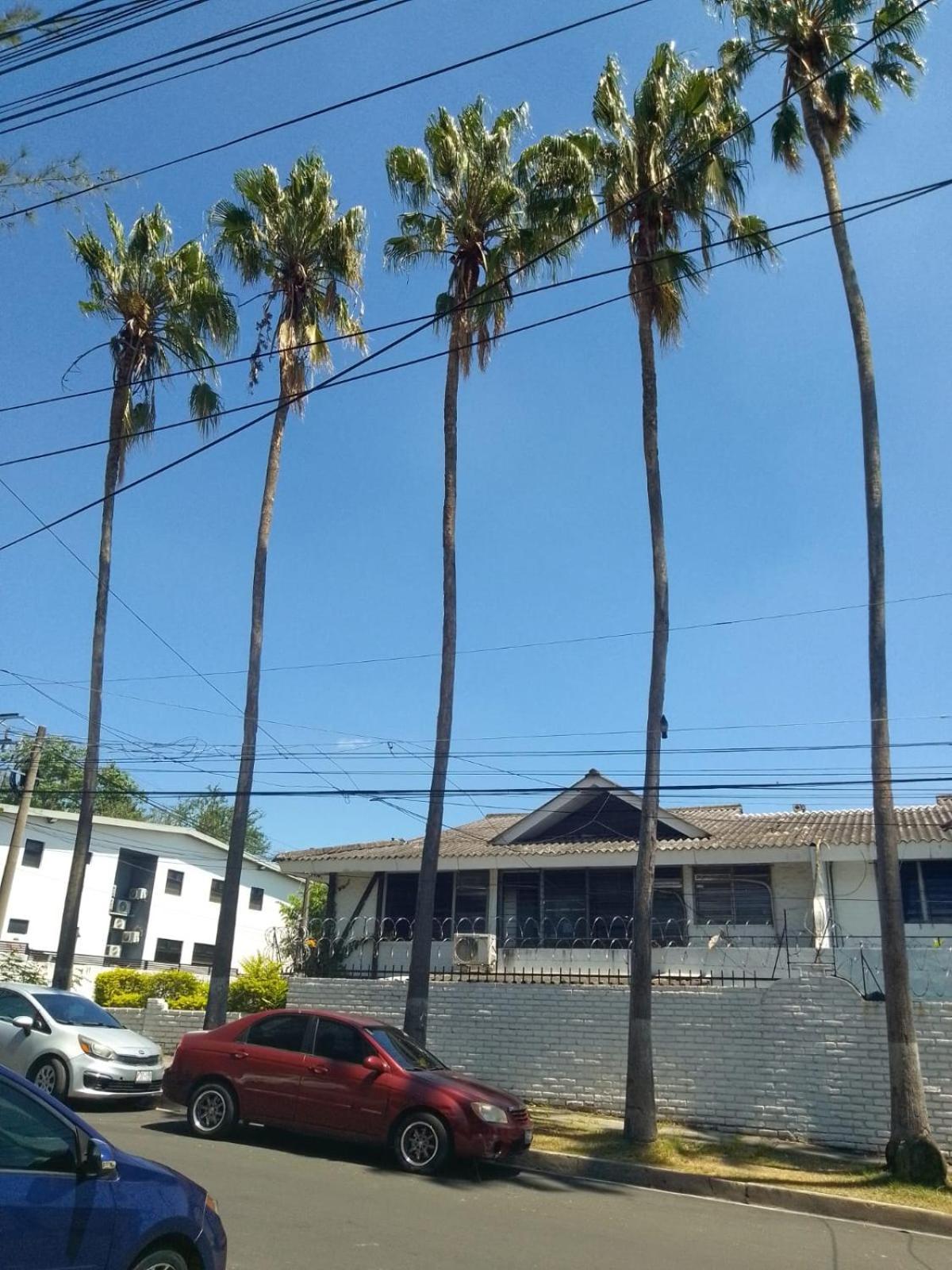 Comfort Home Escalon San Salvador Zewnętrze zdjęcie